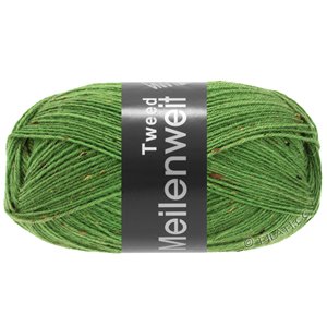 Lana Grossa MEILENWEIT 100g Tweed | 165-verde
