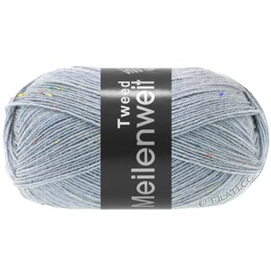 Lana Grossa MEILENWEIT 100g Tweed | 171-grigio blu