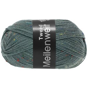 Lana Grossa MEILENWEIT 100g Tweed | 172-grigio blu