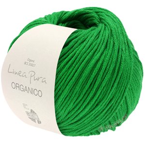 Lana Grossa ORGANICO  Uni (Linea Pura) | 163-verde erba